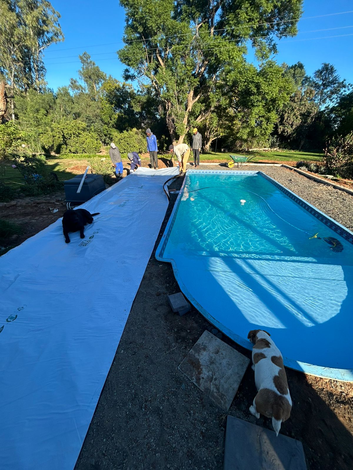 Pool Installation Project 1