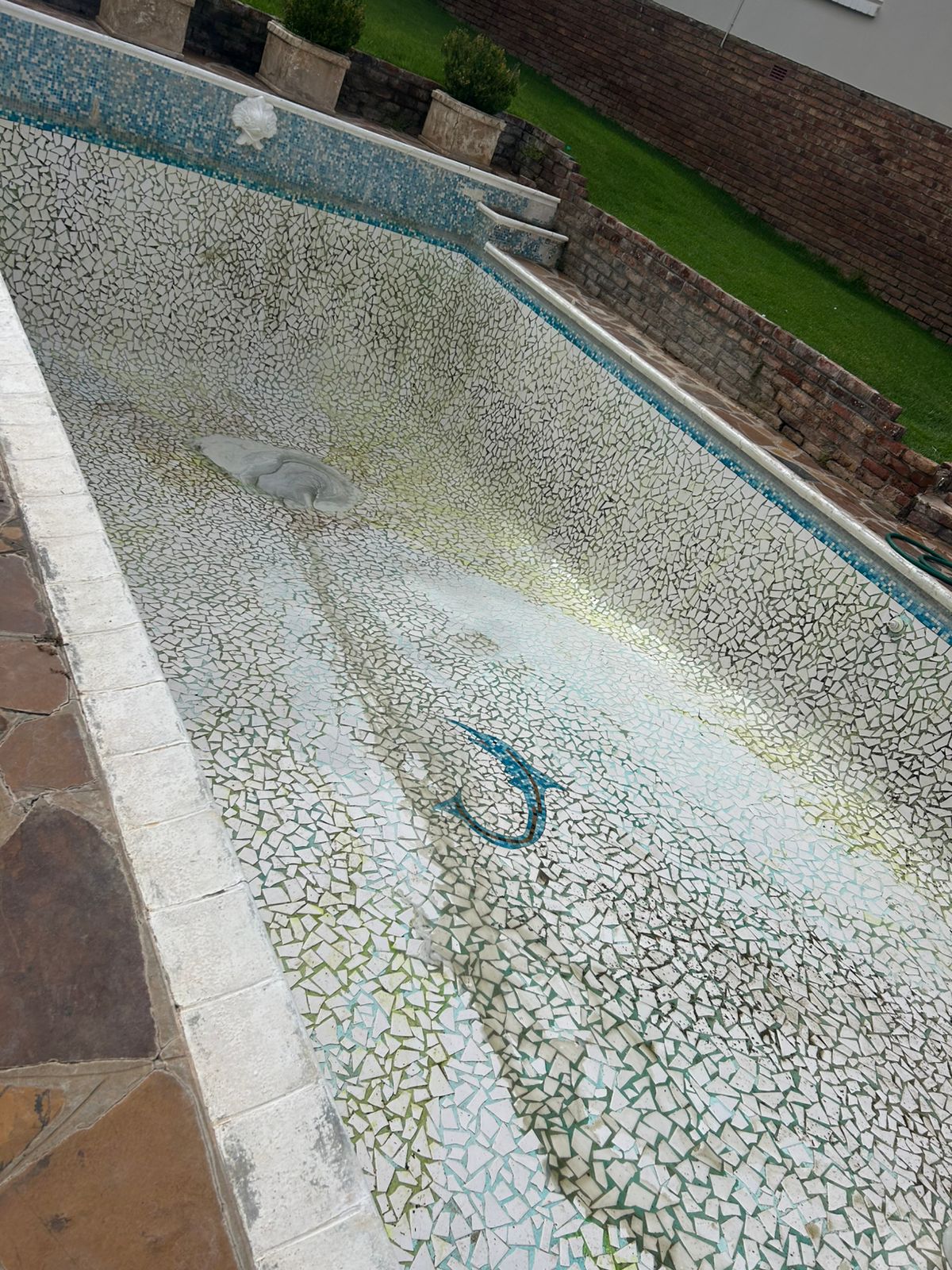 Pool Regrouting